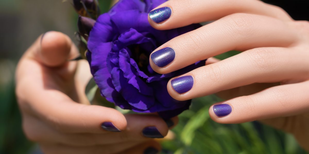 Purple nail design. Female hands with purple manicure holding eustoma flower.